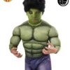 Hulk Wig, Child -Fancy Dress Store 36243.jpg