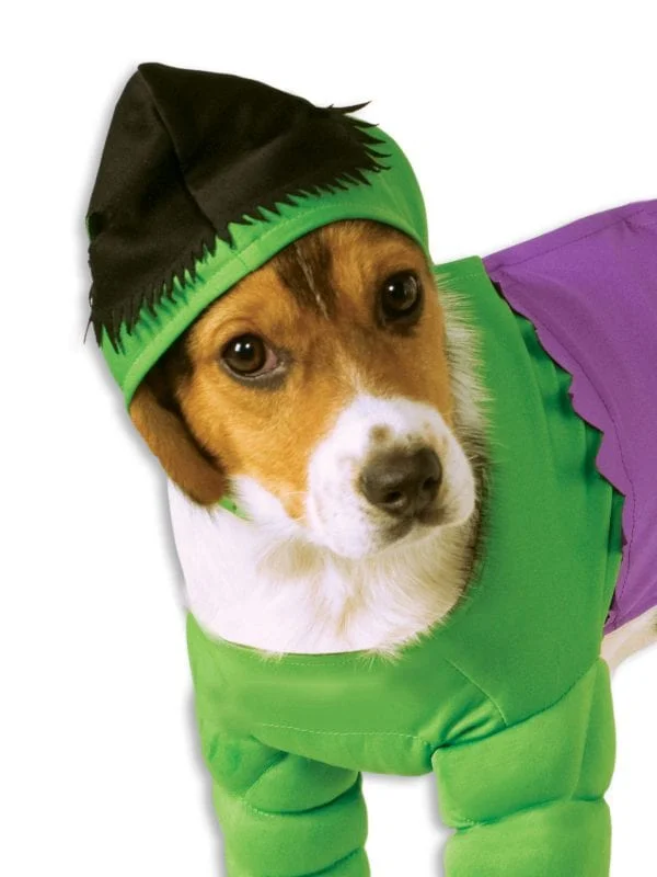 Hulk, Pet Costume 4 Hulk, Pet Costume - Image 2