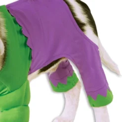 Hulk, Pet Costume 8 Hulk, Pet Costume -Fancy Dress Store 580069 2 600x800.jpg