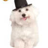 Top Hat, Pet -Fancy Dress Store 580182.jpg
