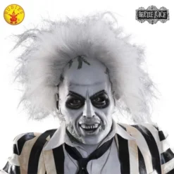 Beetlejuice Overhead Mask With Hair, Adult