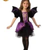 Pretty Bat Costume, Child -Fancy Dress Store 700904 300x400 1.jpg