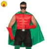 Hero Cape, Green, Adult -Fancy Dress Store 76488 F 600x600.jpg