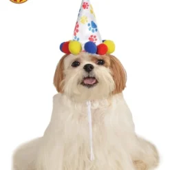 Paw Print Boy Pet Birthday Hat, Pet