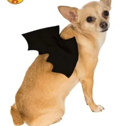 Bat Wings, Pet Accessory