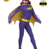 Batgirl 1966 Collector’s Edition, Adult -Fancy Dress Store 887211.jpg