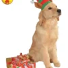 Elf Hat With Ears, Pet -Fancy Dress Store 887716 600x750.jpg