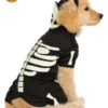 Skeleton Pet Hoodie, Pet Costume -Fancy Dress Store 887825.jpg