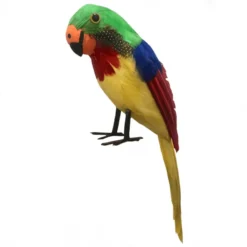Feathered Pirate Parrot (Tropical)