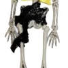 Mini Skeleton Pirate (41cm) -Fancy Dress Store HW1610P.jpg