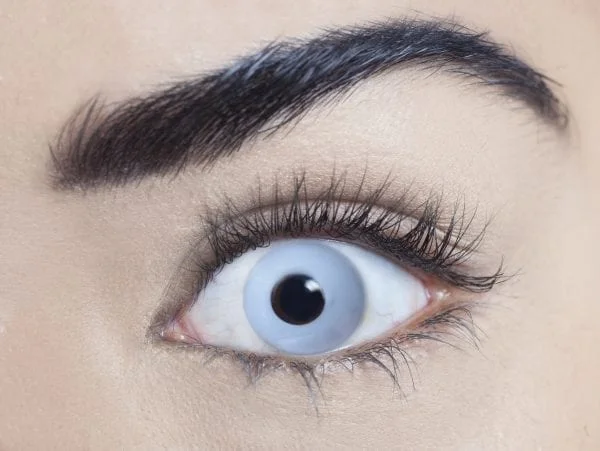 Mesmereyez Zombie Grey – 1 Day Lenses 3 Mesmereyez Zombie Grey – 1 Day Lenses
